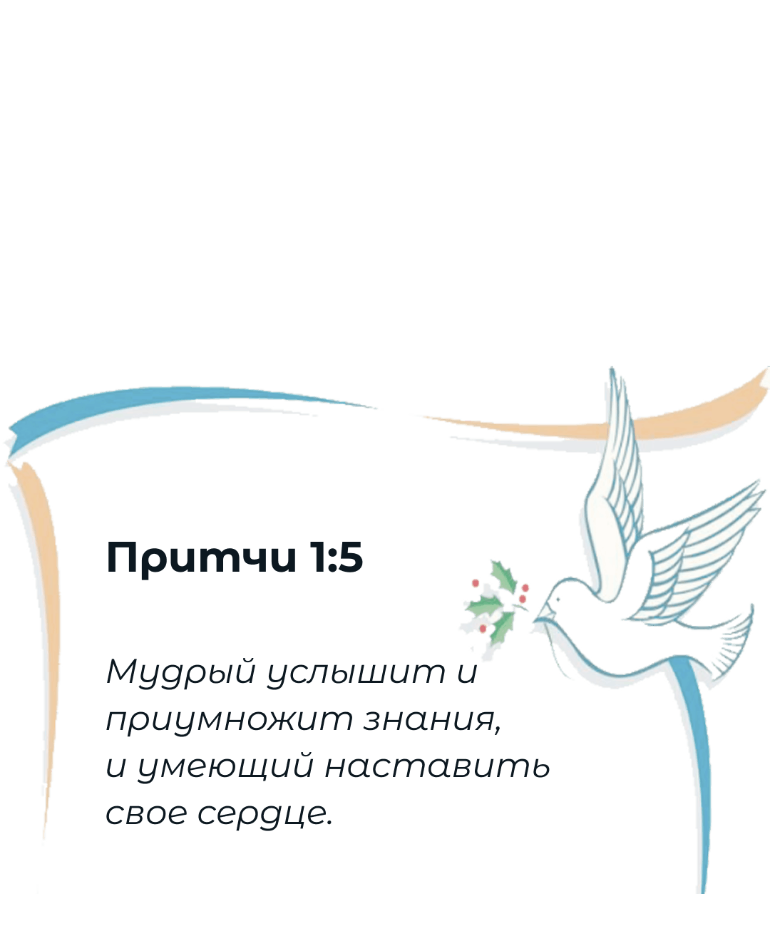 цитата